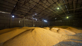 В России согласовали цены для интервенций зерна и сахара в 2022-2023 годах